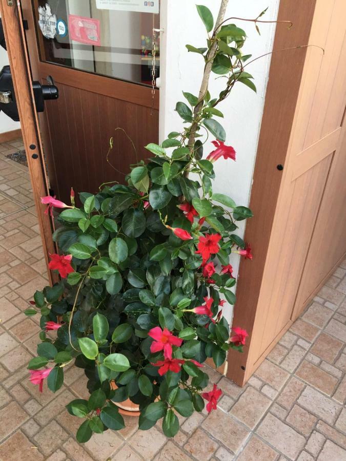 U' Fore B&B Relax Garden Noci Esterno foto